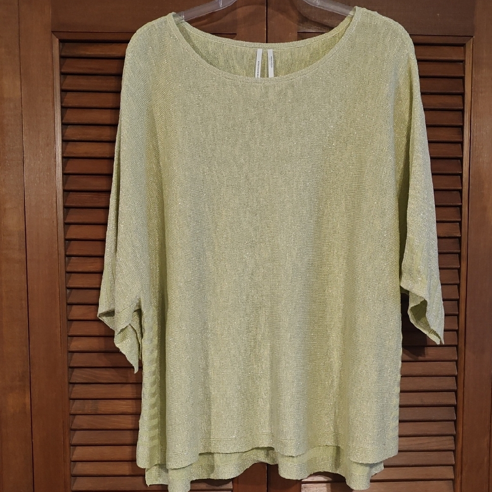 NWOT Anthropologie Shimmering Blouse